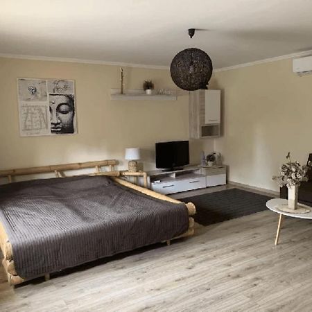 Öreg-Tó Panzió Panzió Soltvadkert Kültér fotó